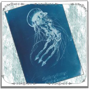 Cyanotype d'une méduse antifa
