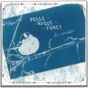Cyanotype d'une orite à longue-queue antiraciste et radicale