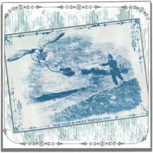 Cyanotype avec une mouette qui vole les jumelles d'un policier